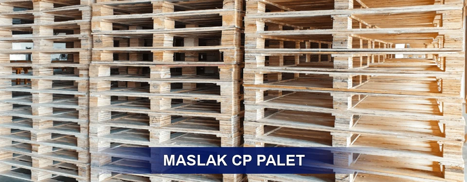 Maslak Standart Tipler